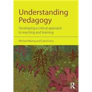 Understanding Pedagogy