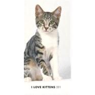 I Love Kittens 2011 Planner, Slim