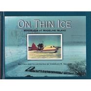 On Thin Ice: Windsleds at Madeline Island