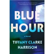 Blue Hour A Novel