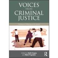 Voices from Criminal Justice: Thinking and Reflecting on the System