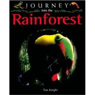 Journey into the Rainforest
