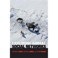 Exploring Animal Social Networks