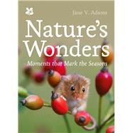 Nature’s Wonders Moments That Mark the Seasons