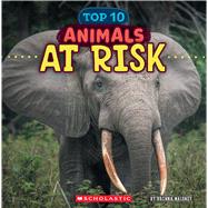 Animals at Risk (Wild World: Top 10)