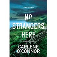 No Strangers Here A Riveting Dark Irish Mystery