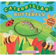 Caterpillar to Butterfly : A Colorful Adventure