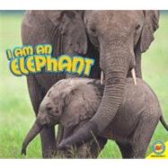 I am an Elephant