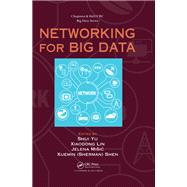 Networking for Big Data
