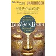 Buddha's Brain: The Practical Neuroscience of Happiness, Love & Wisdom