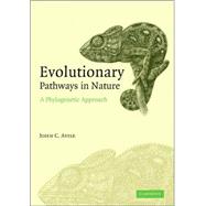 Evolutionary Pathways in Nature: A Phylogenetic Approach