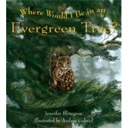 Where Would I Be in an Evergreen Tree?