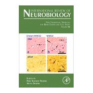 New Therapeutic Strategies for Brain Edema and Cell Injury