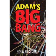 Adam's Big Bang A Novel