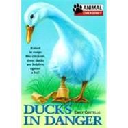 Ducks in Danger