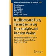 Intelligent and Fuzzy Techniques in Big Data Analytics and Decision Making