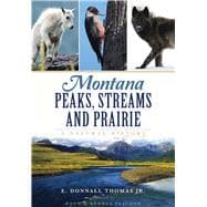 Montana Peaks, Streams and Prairie