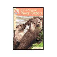 North American River Otters