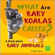 What Are Baby Koalas Called?