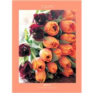 Tulips Notecards