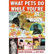 What Pets Do While You're at Work