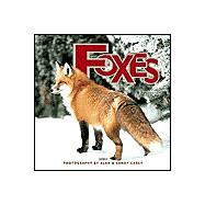 Foxes 2002 Calendar