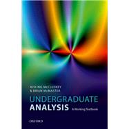 Undergraduate Analysis A Working Textbook