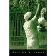 Strangers in Zion : Fundamentalists in the South, 1900-1950