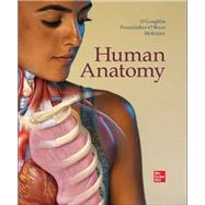Human Anatomy
