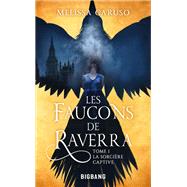 Les Faucons de Raverra, T1 : La Sorcière captive