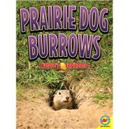 Prairie Dog Burrows