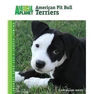 American Pit Bull Terriers