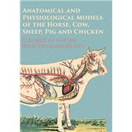Anatomical and Physiological Models of the Horse, Cow, Sheep, Pig and Chicken - Colored to Nature - With Explanatory Key