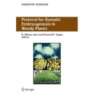 Protocol for Somatic Embryogenesis in Woody Plants