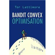Bandit Convex Optimisation