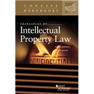 Principles of Intellectual Property Law(Concise Hornbook Series)