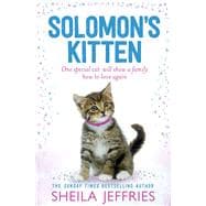 Solomon's Kitten