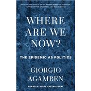 Where Are We Now? The Epidemic as Politics