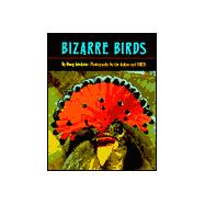 Bizarre Birds