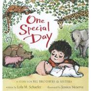 One Special Day A Story for Big Brothers and Sisters