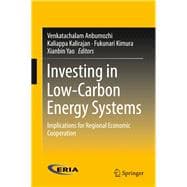 Investing in Low-carbon Energy Systems