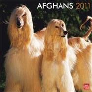 Afghans 2011 Calendar
