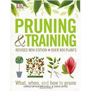 Pruning & Training