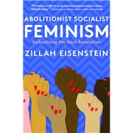 Abolitionist Socialist Feminism
