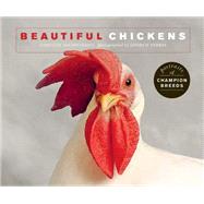 Beautiful Chickens Portraits of champion breeds