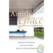 Amish Grace : How Forgiveness Transcended a Tragedy