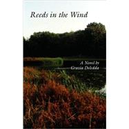 Reeds in the Wind