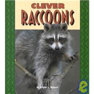 Clever Raccoons