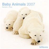 Baby Animals 2007 Calendar