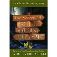 The Secrets of Still Waters Chasm  Book 2 – Ohnita Harbor Mystery Series